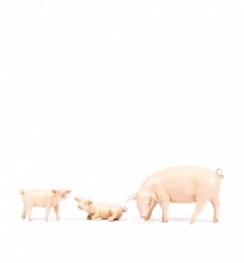 Familia de cerdos para belén 19 cm.